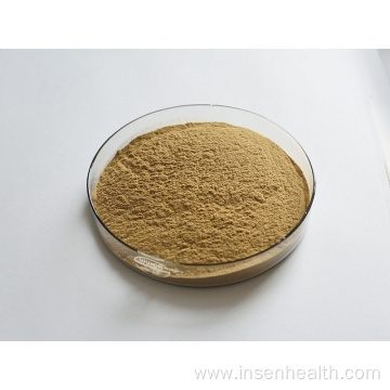 Hot Selling Natural Seaweed Extract Powder